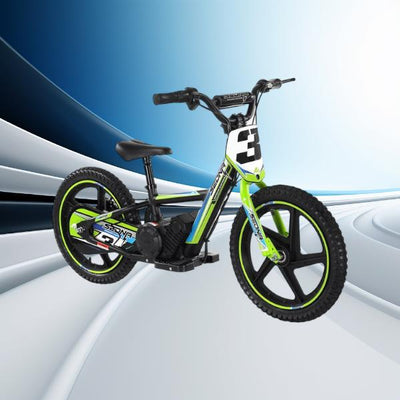 Draisienne Electrique