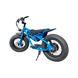 Draisienne électrique Fat Fun Unikride