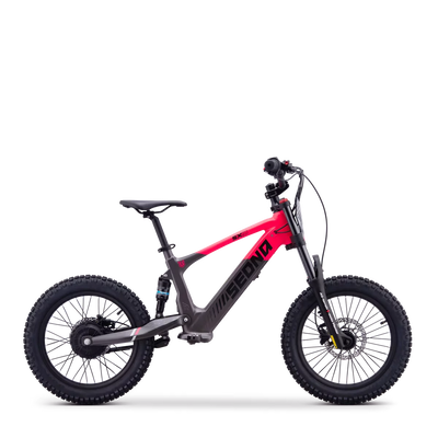 Draisienne électrique sedna sx 18"