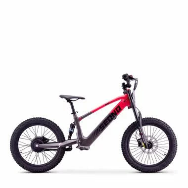 Draisienne électrique sedna sx 20"